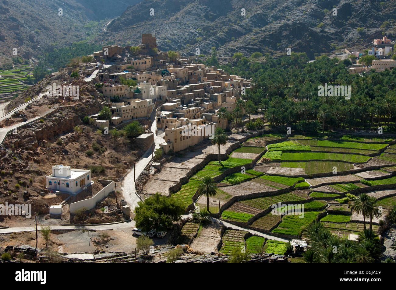 Oasis de montaña de Balad Seet con campos de terrazas de regadío, Balad Seet, Omán Foto de stock