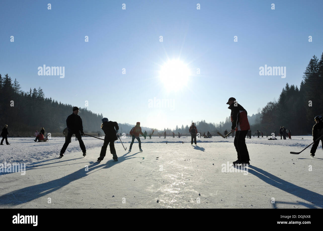 Jugador de hockey sobre hielo en el estanque congelado Deininger, Alta Baviera, Baviera Foto de stock