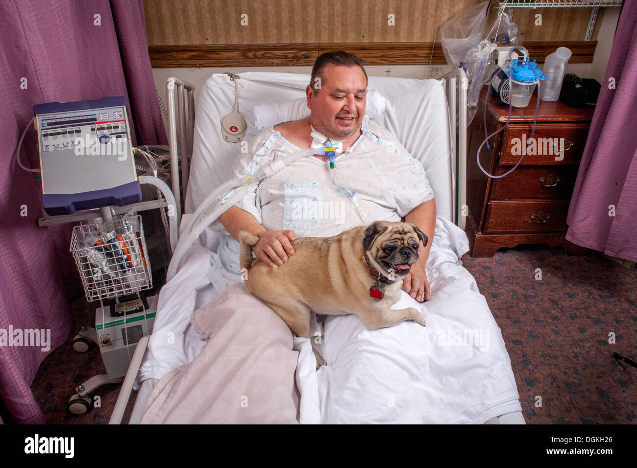 Un paciente postrado en una clínica de rehabilitación del sur de California saluda Perro confort llevado por un voluntario para emocional compat Foto de stock