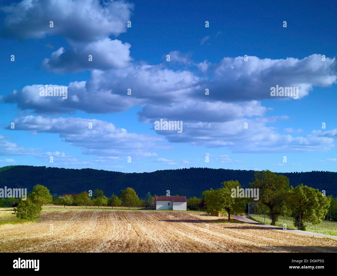 Una vista de las tierras de cultivo cerca de la aldea de Cazoules en Dordogne. Foto de stock