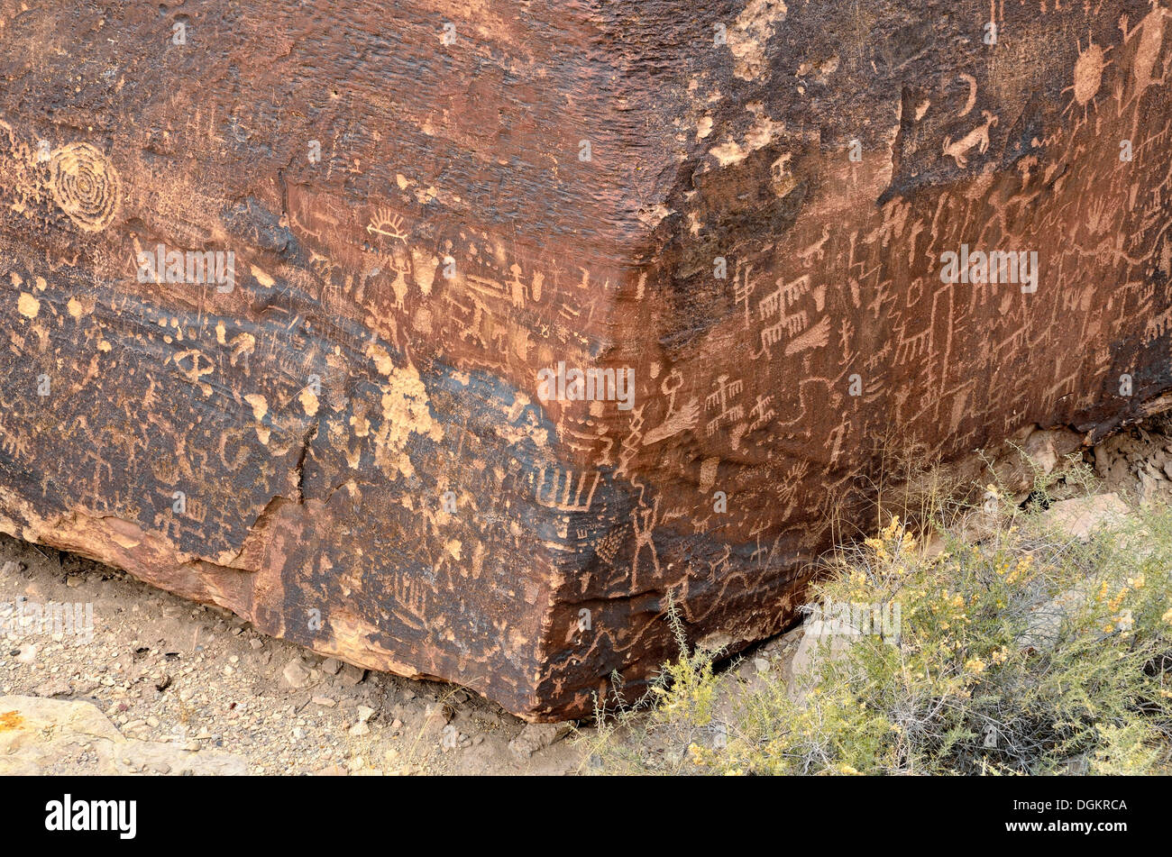 Grabados históricos, de 800 años de antigüedad, Puerco Pueblo, Parque Nacional del Bosque Petrificado, el Desierto Pintado, Holbrook, Arizona Foto de stock