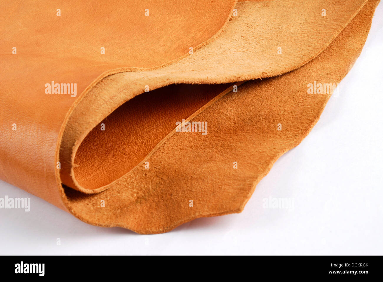 Curtido De Cuero Fotos e Imágenes de stock Alamy