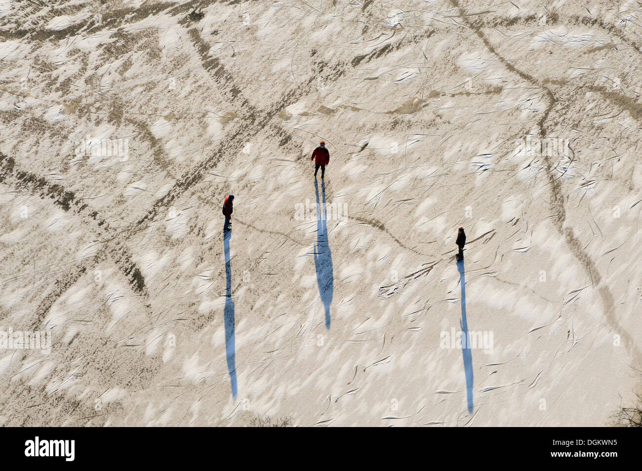 Vista aérea, los patinadores sobre hielo en el lago Achtermoor, Hamburgo, Hamburgo, Hamburgo, Alemania. Foto de stock