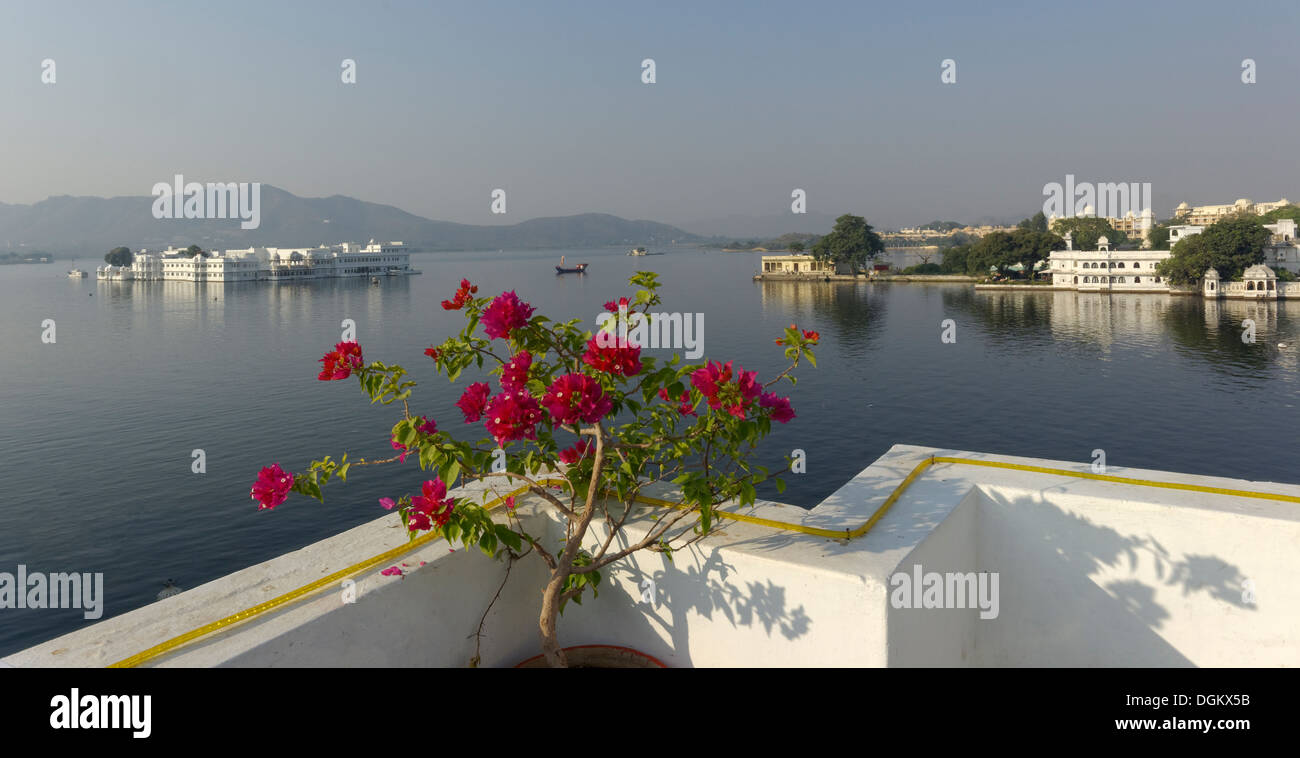 Lago Pichola, Udaipur, India Foto de stock