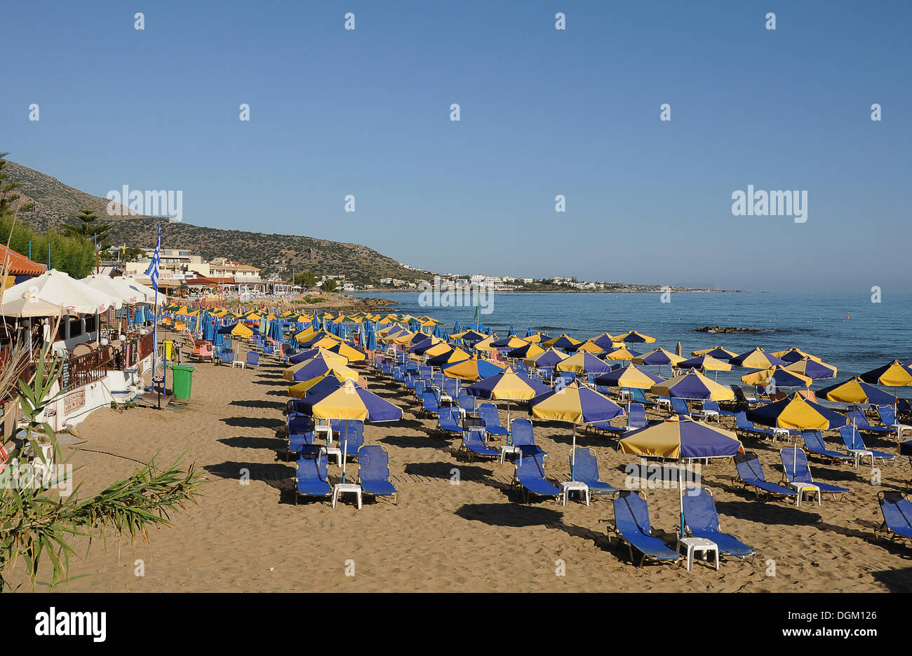 Sombrillas, Hamacas, playa, Malia, Creta, Grecia, Europa Foto de stock