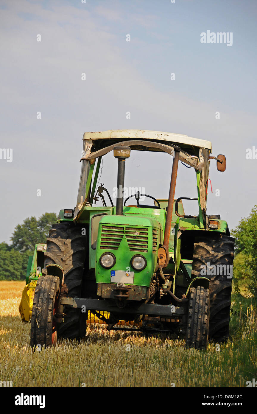 Tractor en un campo de maíz, Tangstedt, Schleswig-Holstein PublicGround Foto de stock
