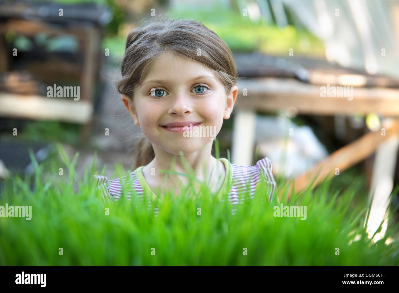 En la granja. Una niña sonriente permanente por una banqueta glasshouse mirando por encima de los brotes de plantas que crecen en las bandejas. Foto de stock