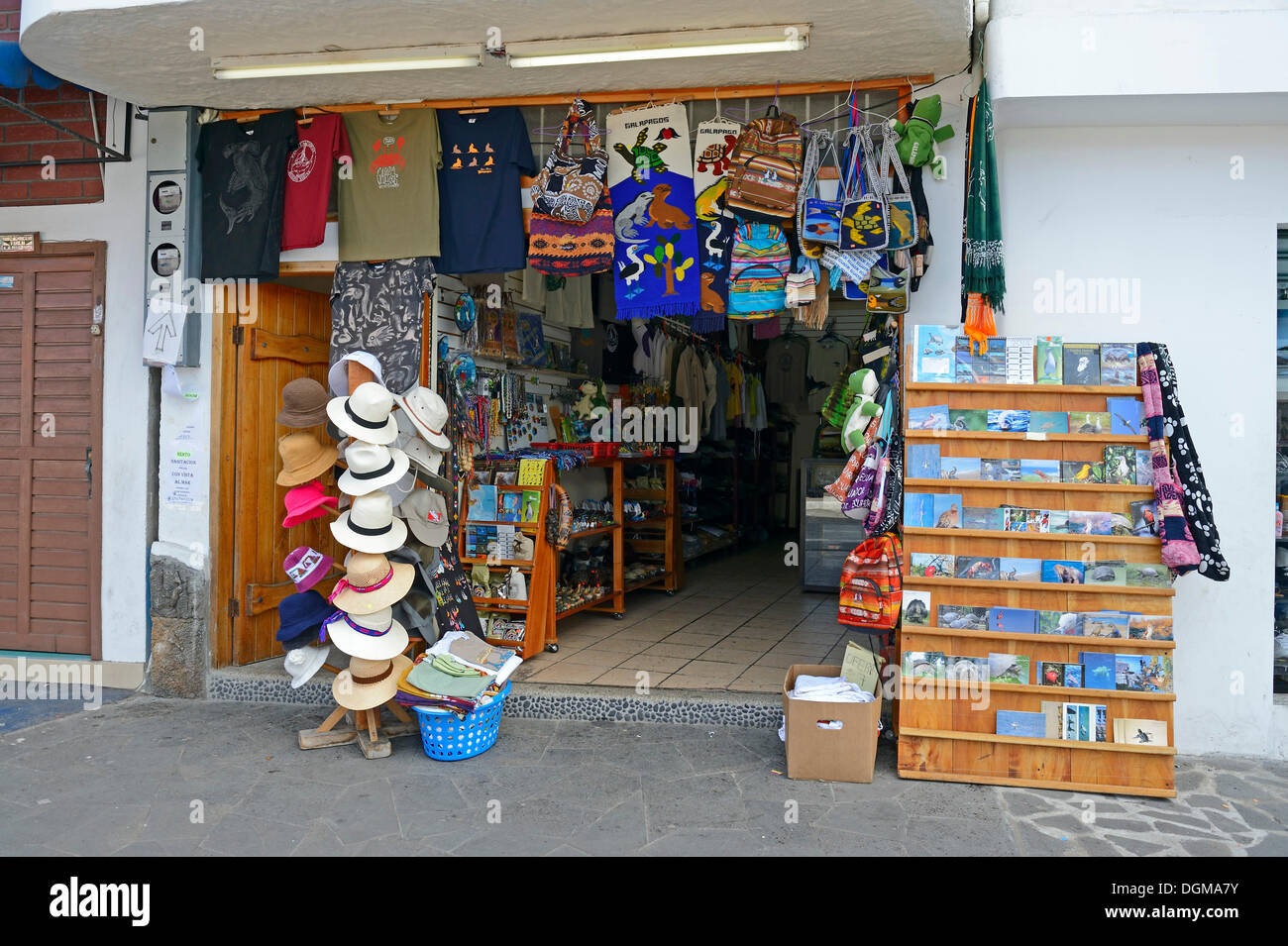 Tienda de souvenirs en Puerto Ayora, Isla Santa Cruz, Isla infatigable