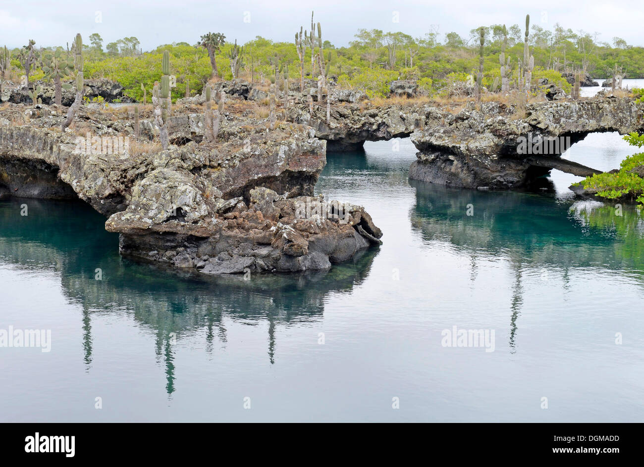 Los túneles región con formaciones de lava y puentes, la punta suroeste de la isla Isabela, Islas Galápagos, Natural Mundial de la UNESCO Foto de stock