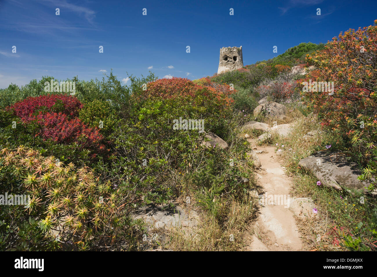 Ruinas de la torre sarracena en la playa de Cala Porto Giunco, Capo Cabonara, Villasimius, Sarrabus, provincia de Cagliari Foto de stock