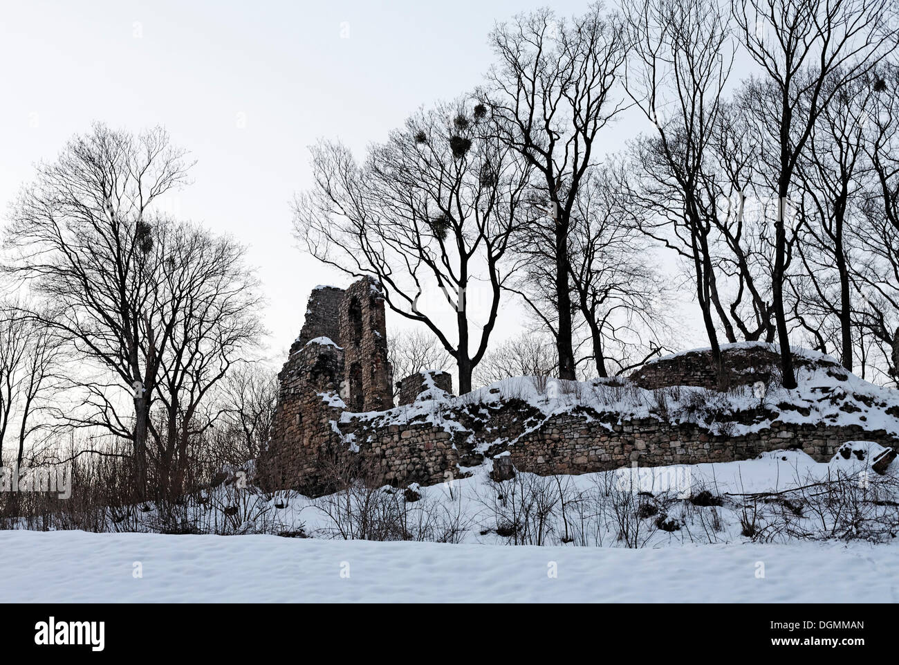 Ruinas románticas en invierno, Stecklenberg, Thale, Norte de Harz, en el Estado federado de Sajonia-Anhalt Foto de stock