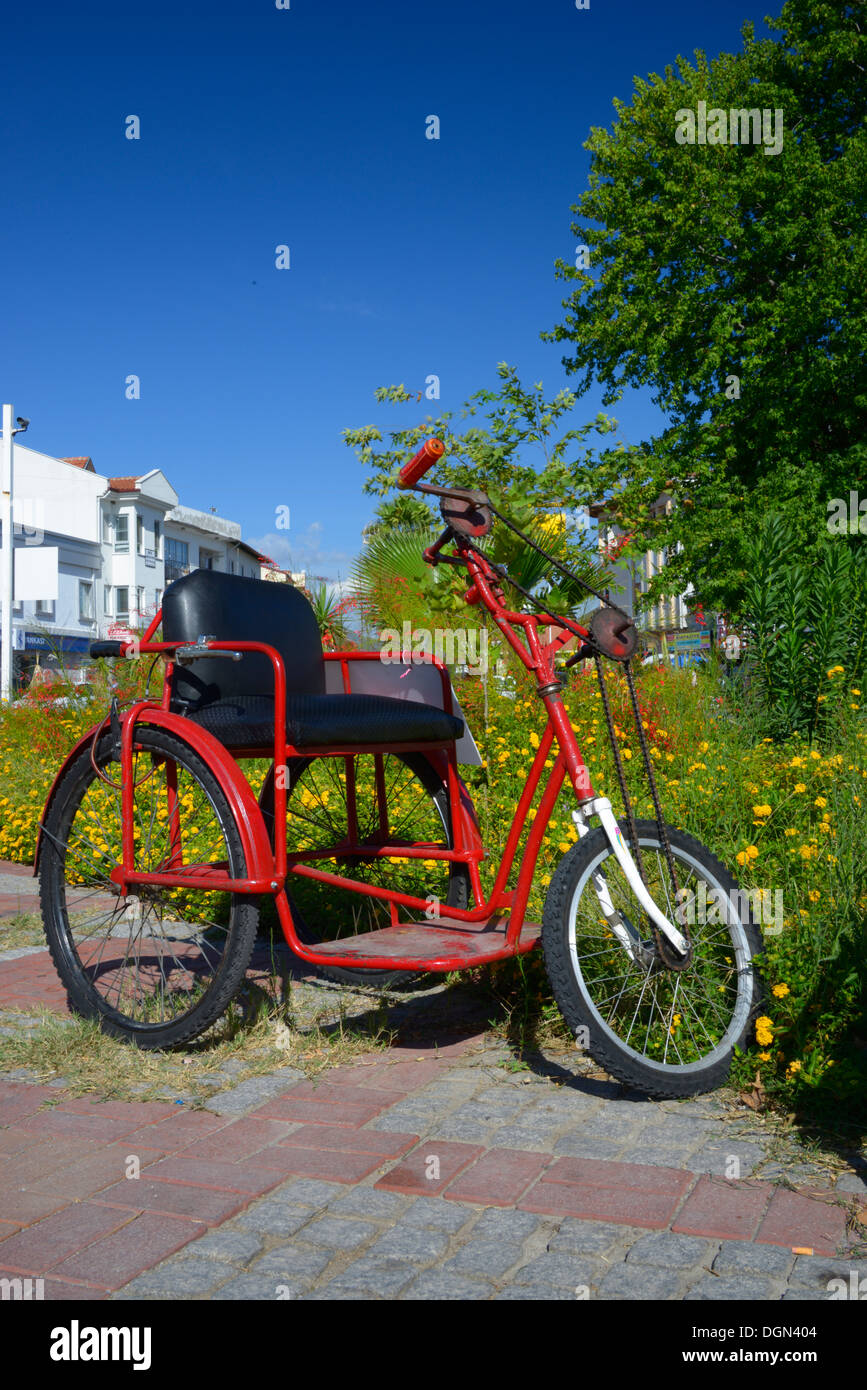 Personalizado triciclo para minusválidos turco vendedor de flores  Fotografía de stock - Alamy