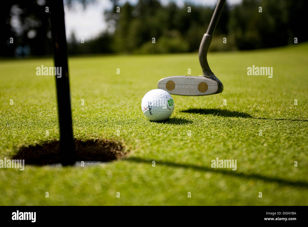 Golf, pelota de golf, Tirol del Sur, Italia, Europa Foto de stock