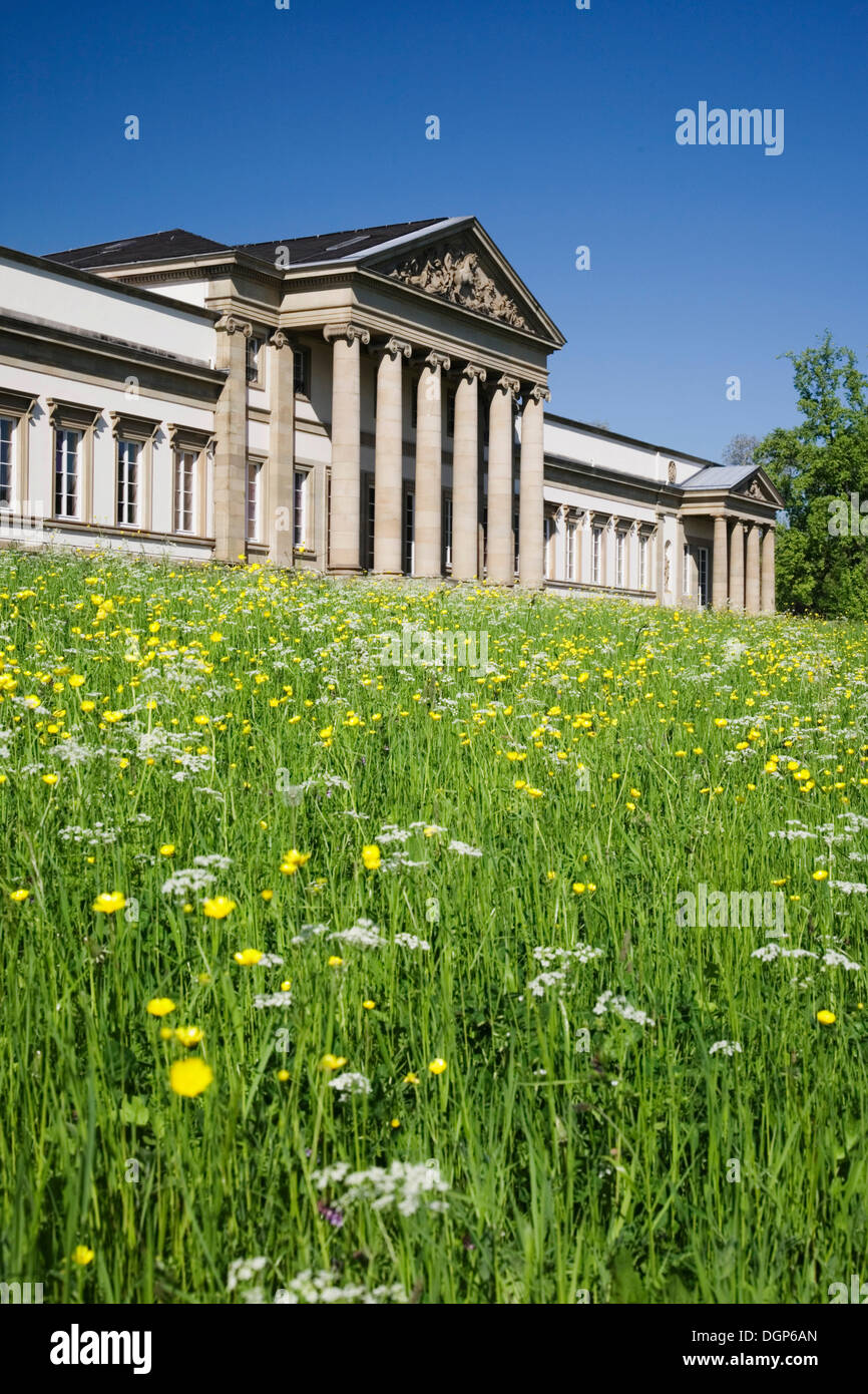 Image of Schloss Seehof hydrangeas