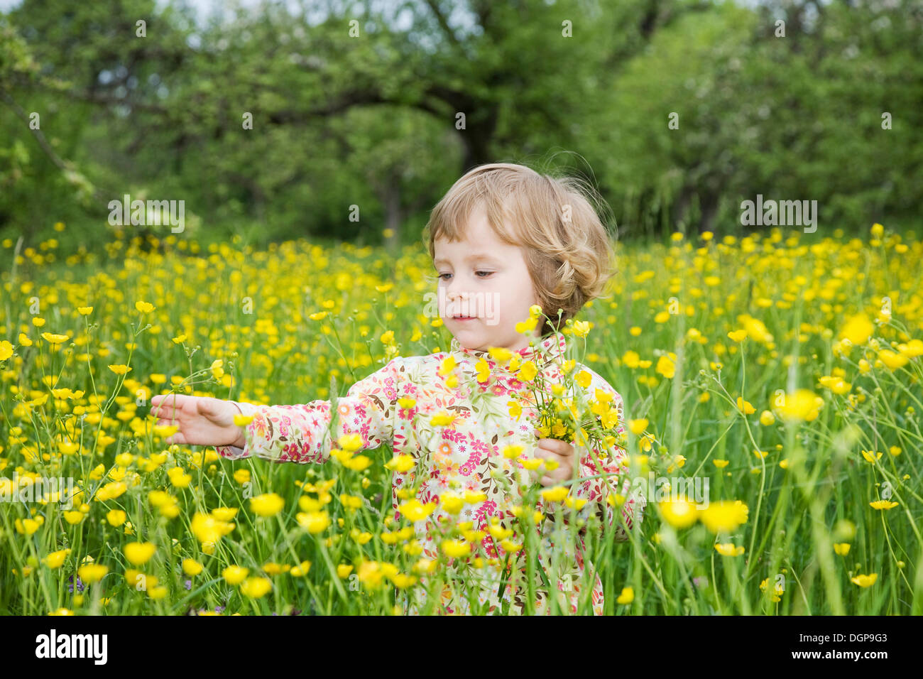 Niña jugando en un prado de flores Foto de stock