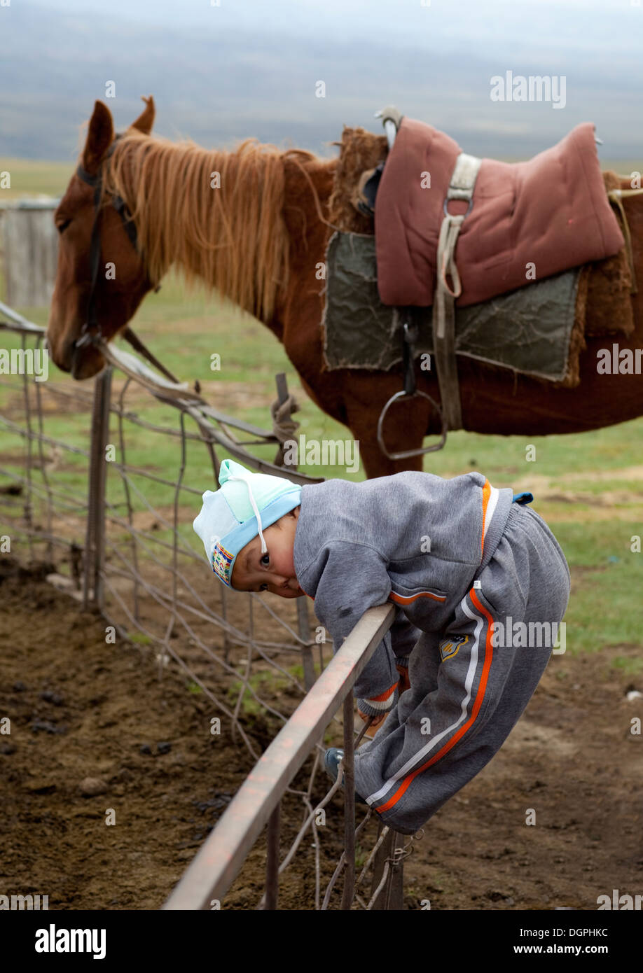 Bebé aferrándose a una valla y caballo, Saralasaz Jailoo, Kirguistán Foto de stock