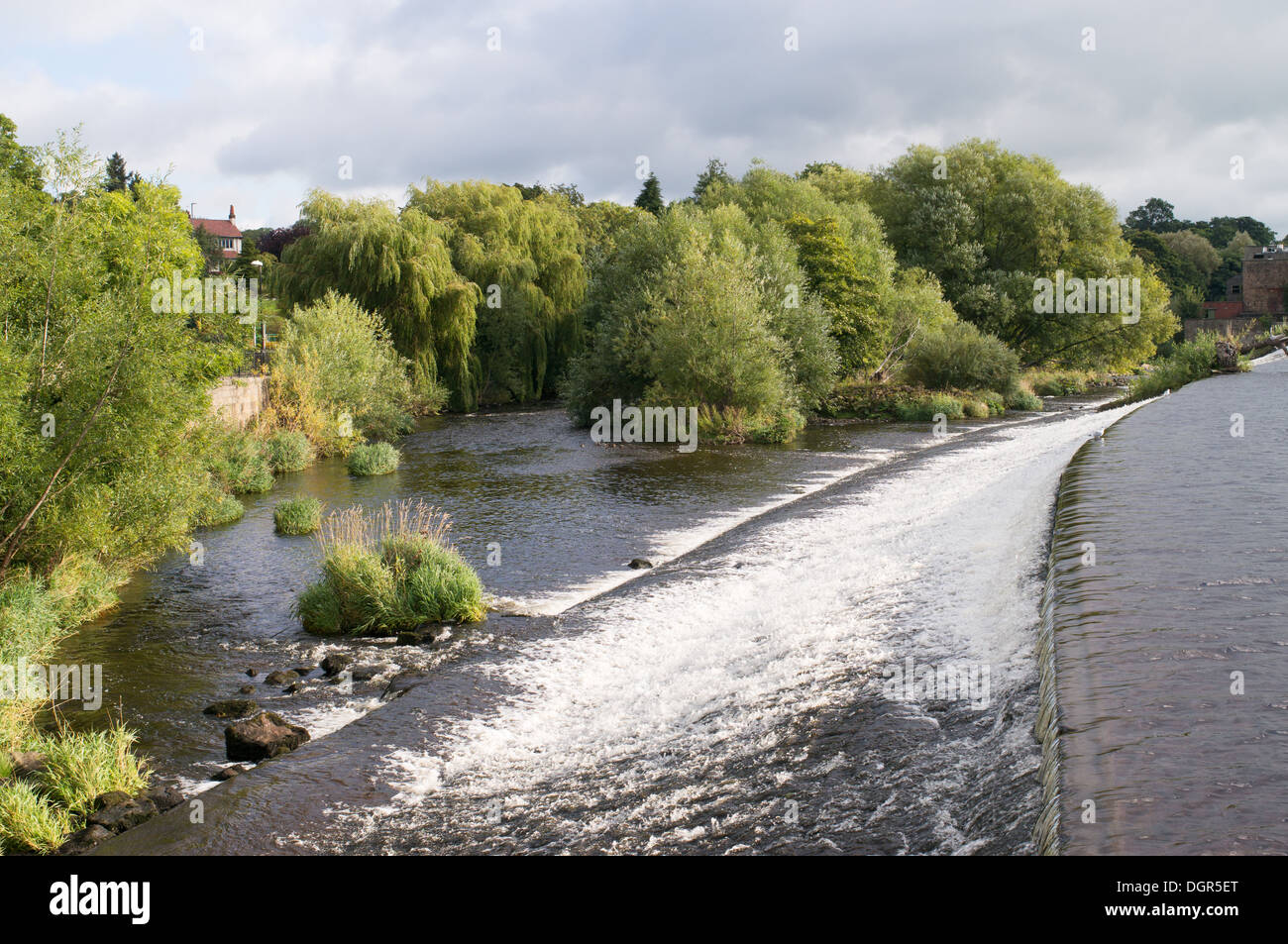 Río Wharfe fluyendo sobre weir en Otley, Yorkshire, Inglaterra, Reino Unido. Foto de stock