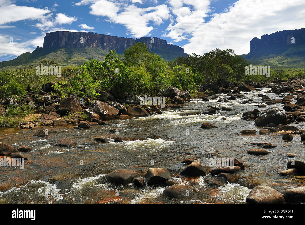 Río enfrente de kukunan y Roraima, La montaña más alta de las montañas de mesa de Brasil, la triple frontera Brasil, Venezuela Foto de stock