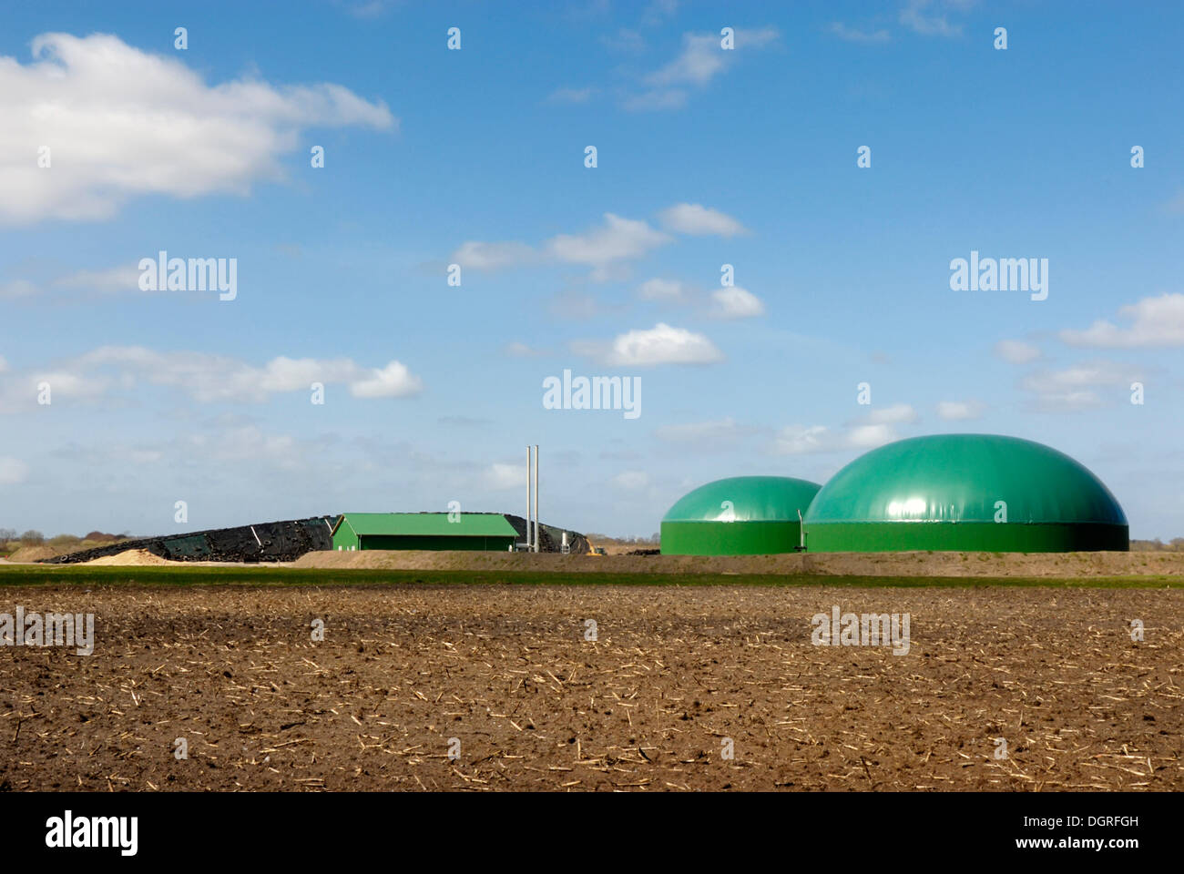 La planta de biogás agrícola, planta de energía de biomasa con unidad de cogeneración CHP, para la producción de electricidad y calor, y campos de maíz Foto de stock