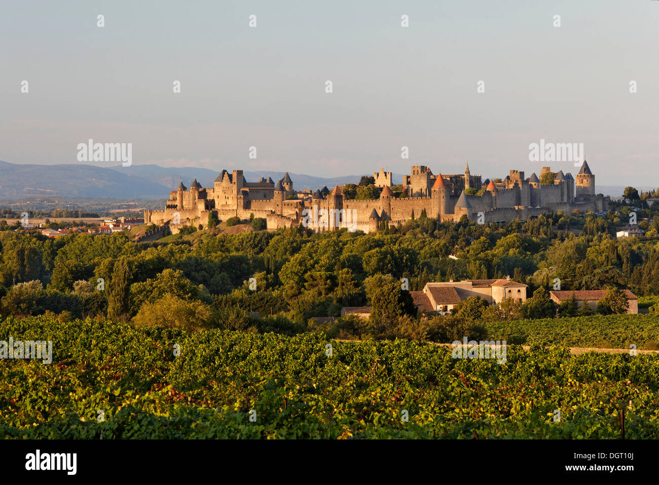 Carcassonne en la luz del atardecer, región de Languedoc-Rosellón, departamento de Aude, Francia, Europa Foto de stock