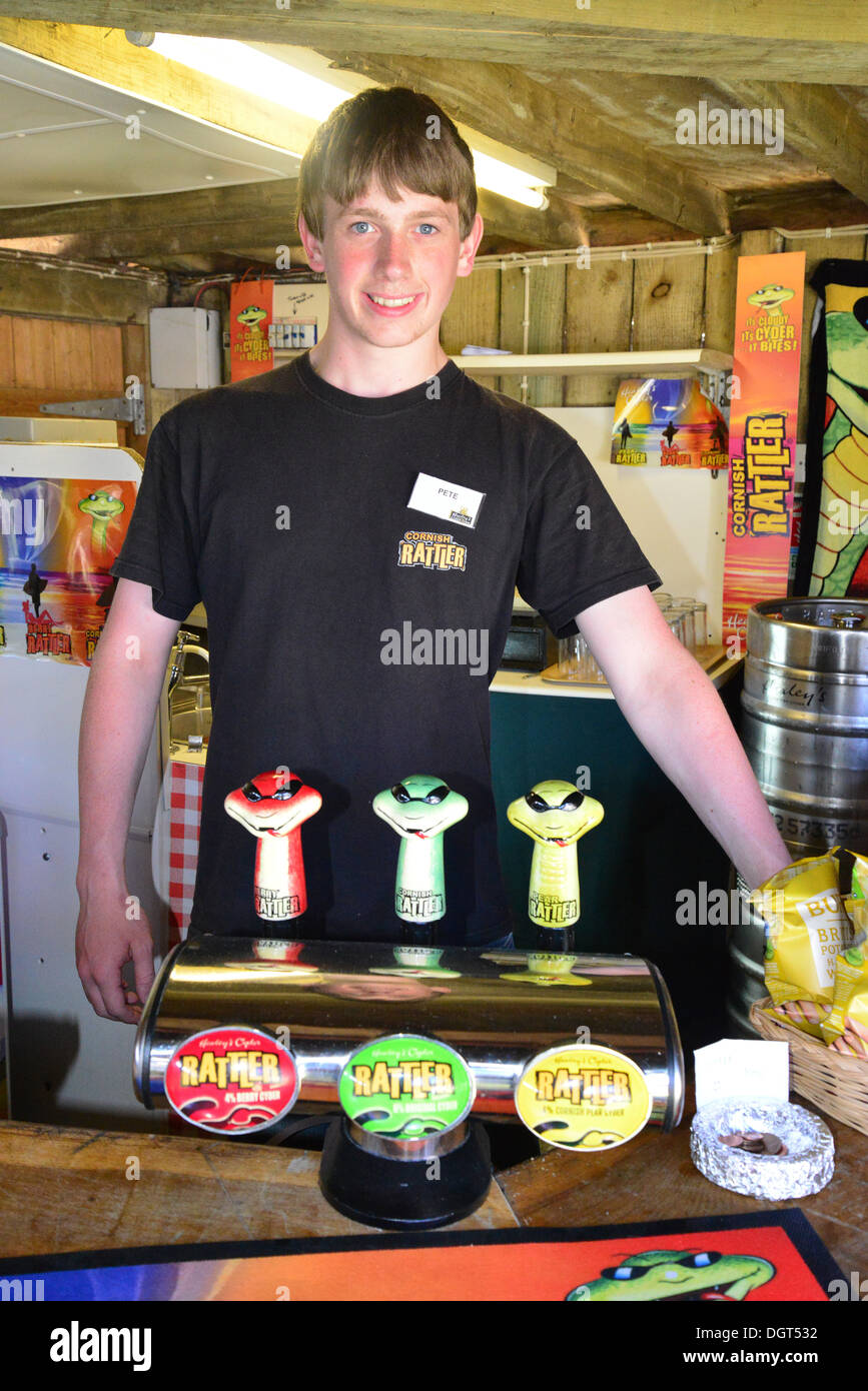 Joven barman en Healey's Cornish Cyder granja, Penhallow, Truro, Cornwall, Inglaterra, Reino Unido Foto de stock