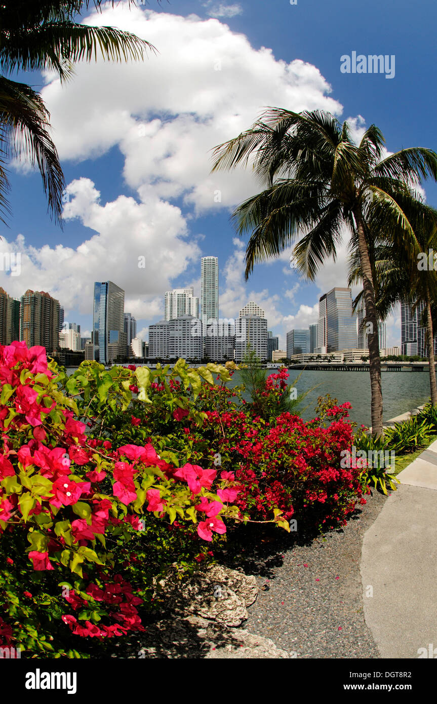 Brickell Key Drive, el Centro de Miami, Florida, EE.UU. Foto de stock
