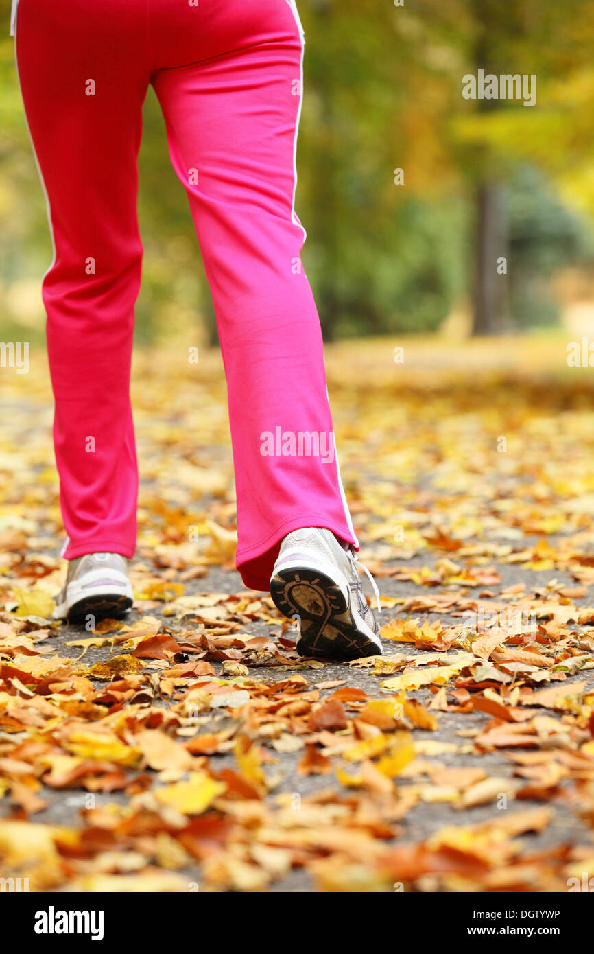 Runner piernas y zapatos para correr. Mujer deportiva trotar caminar al  aire libre en el parque de otoño el sendero del bosque, colores de otoño  hojas doradas Fotografía de stock - Alamy