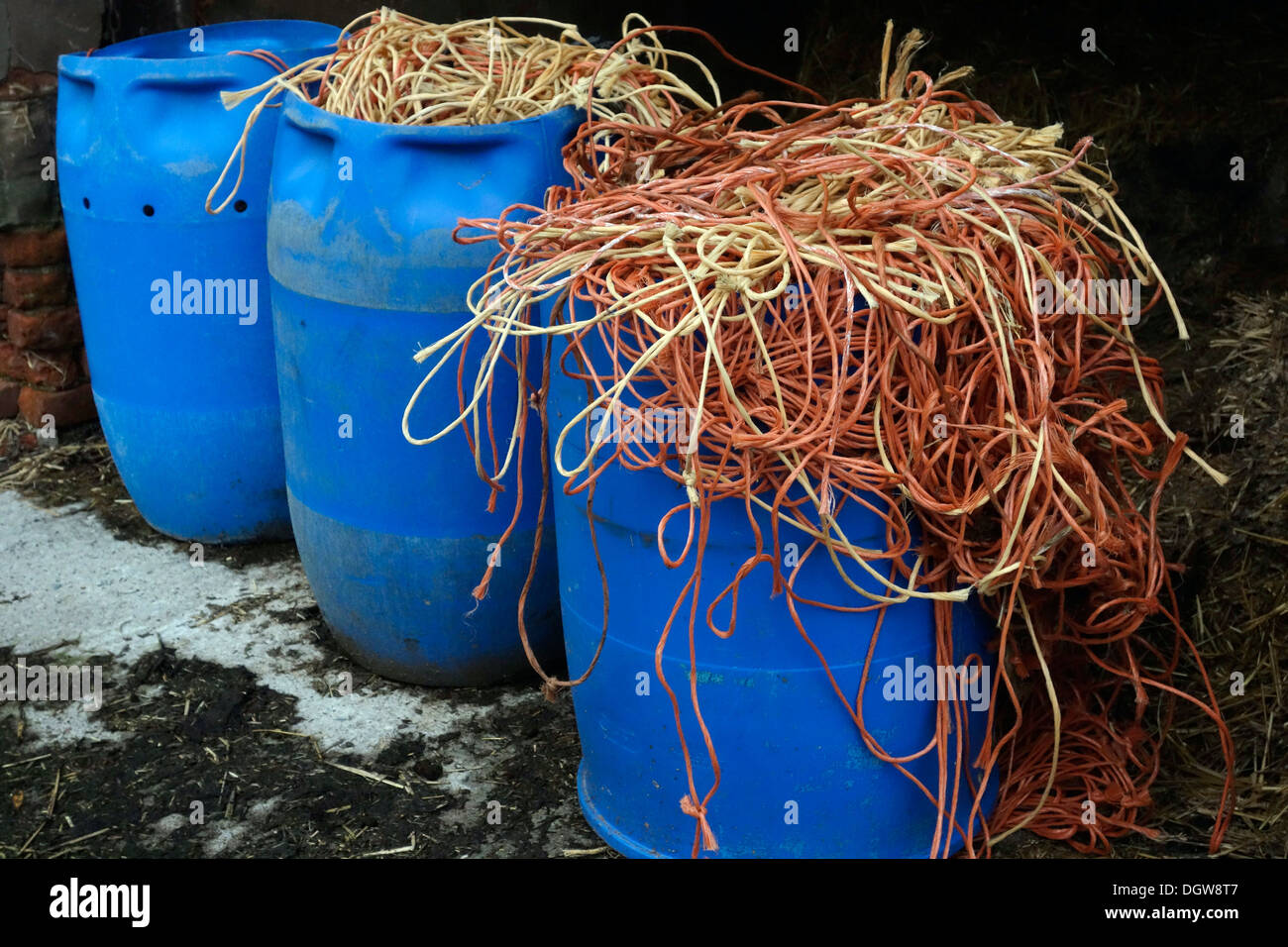 Cadena de polipropileno guardados desde los fardos de heno y paja para reciclaje en Cheshire, Reino Unido Vaquería Foto de stock