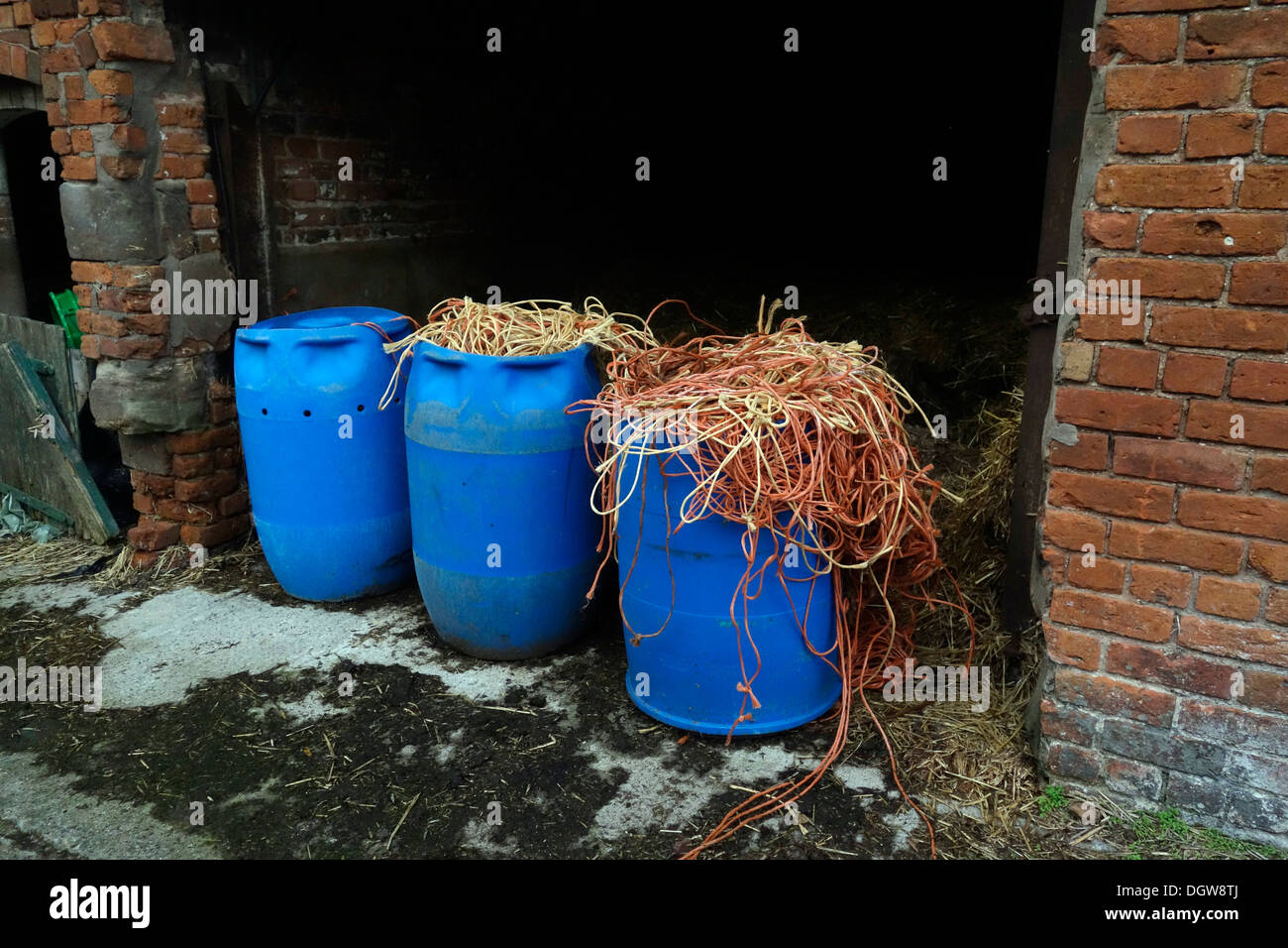 Cadena de polipropileno guardados desde los fardos de heno y paja para reciclaje en Cheshire, Reino Unido Vaquería Foto de stock