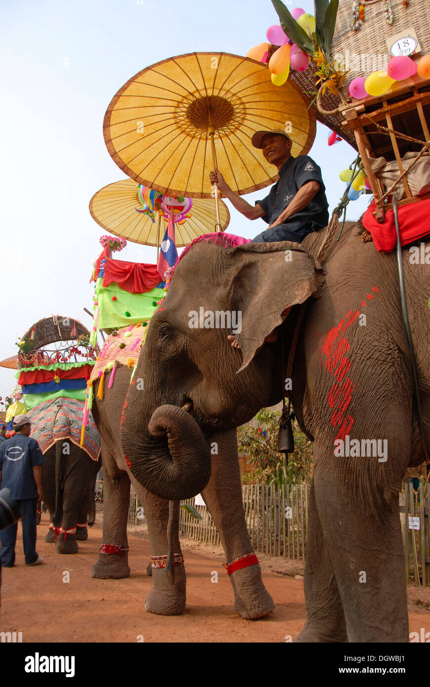 Decorado elefantes, Mahout caballo bajo la sombrilla, el Desfile del  Festival de elefantes, Ban Viengkeo, Hongsa, Provincia Xaignabouri  Fotografía de stock - Alamy