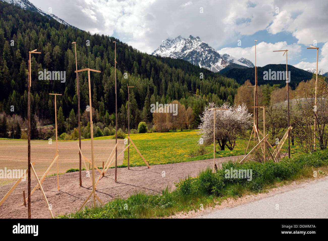 Las líneas de referencia, bateador boards, apostados en el sitio de construcción, Scuol, cantón de Los Grisones, Suiza Foto de stock