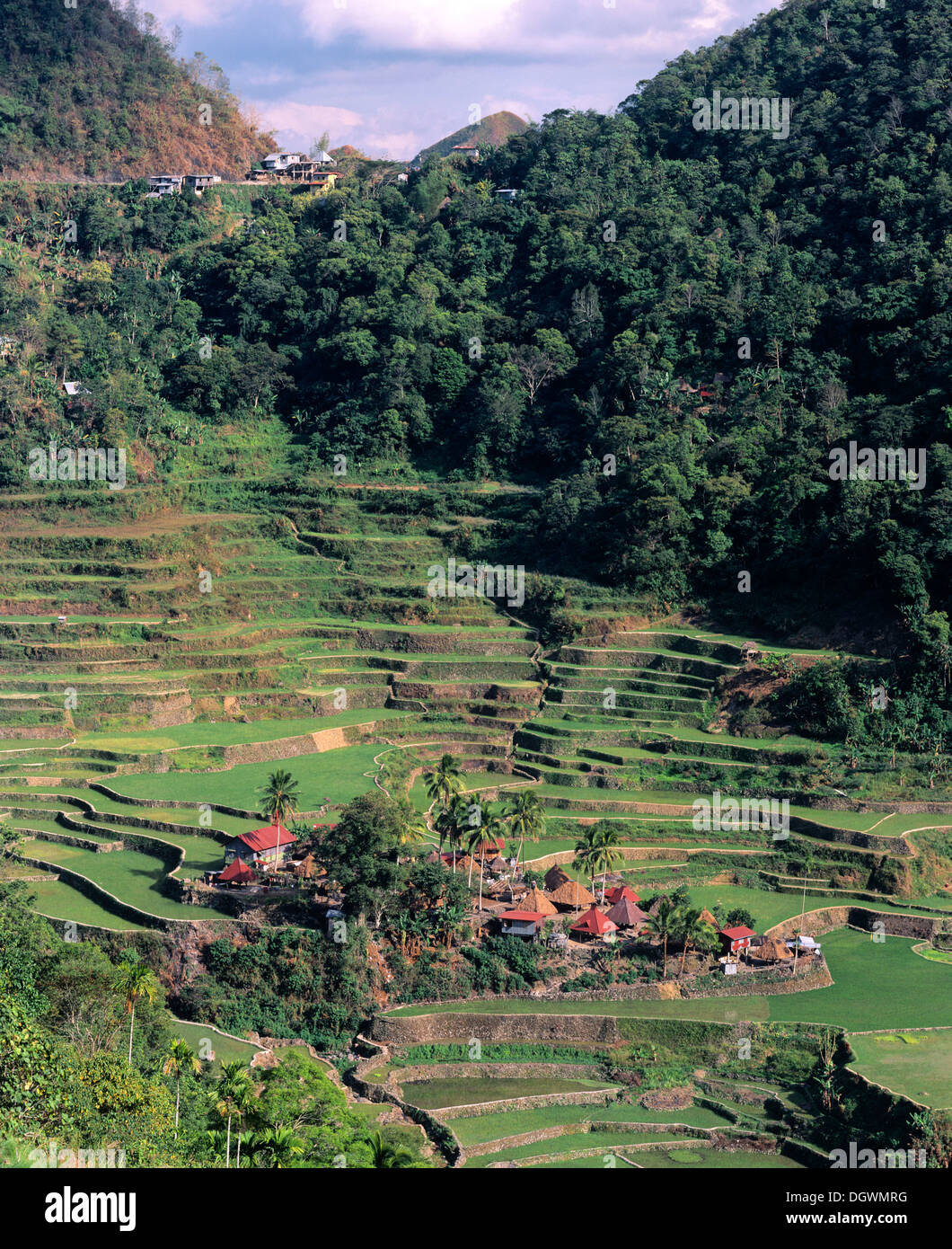 Una aldea cerca de Batad Banga, terrazas de arroz de Banaue, también conocido como pico musuan Banga, una aldea de Ifugao, Luzón, Filipinas Foto de stock