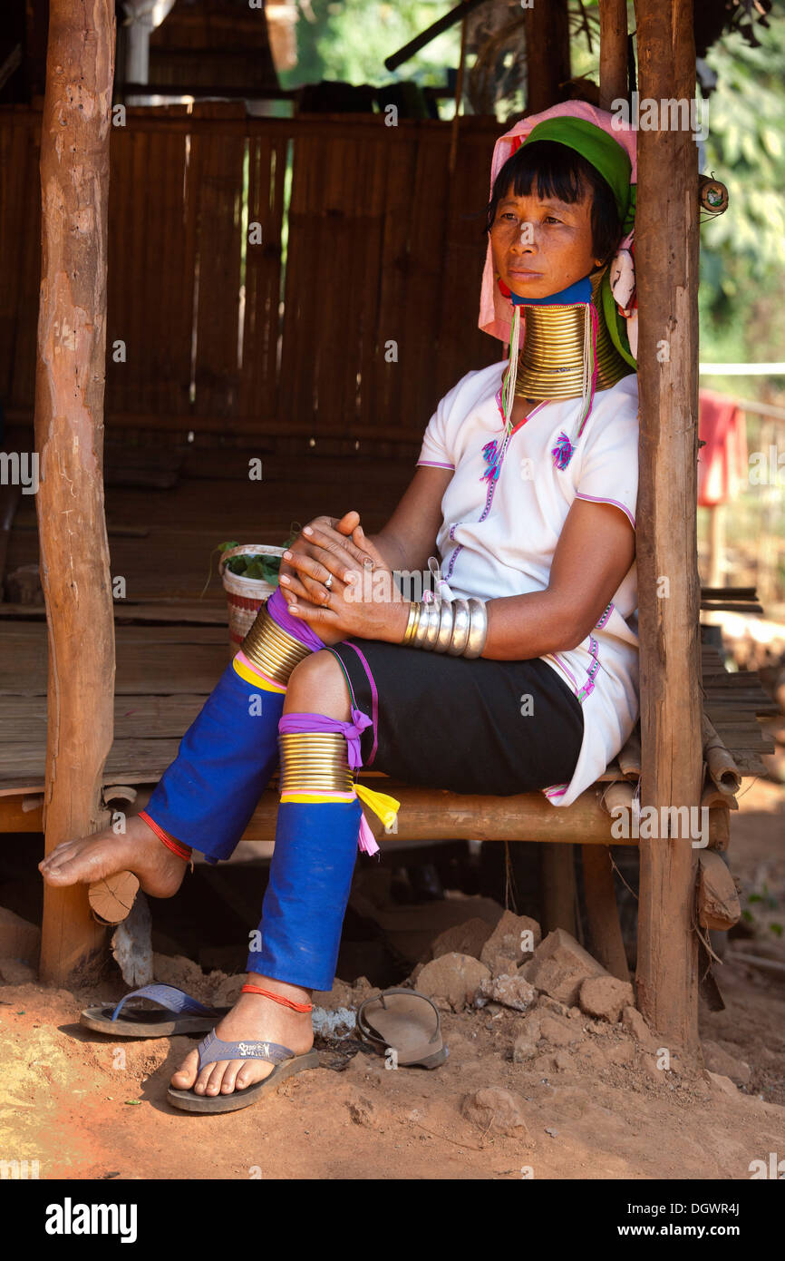 Largo cuello Padaung mujer vistiendo los cuellos, tribus de la colina, Chiang Rai, Tailandia del Norte, Tailandia, Asia Foto de stock
