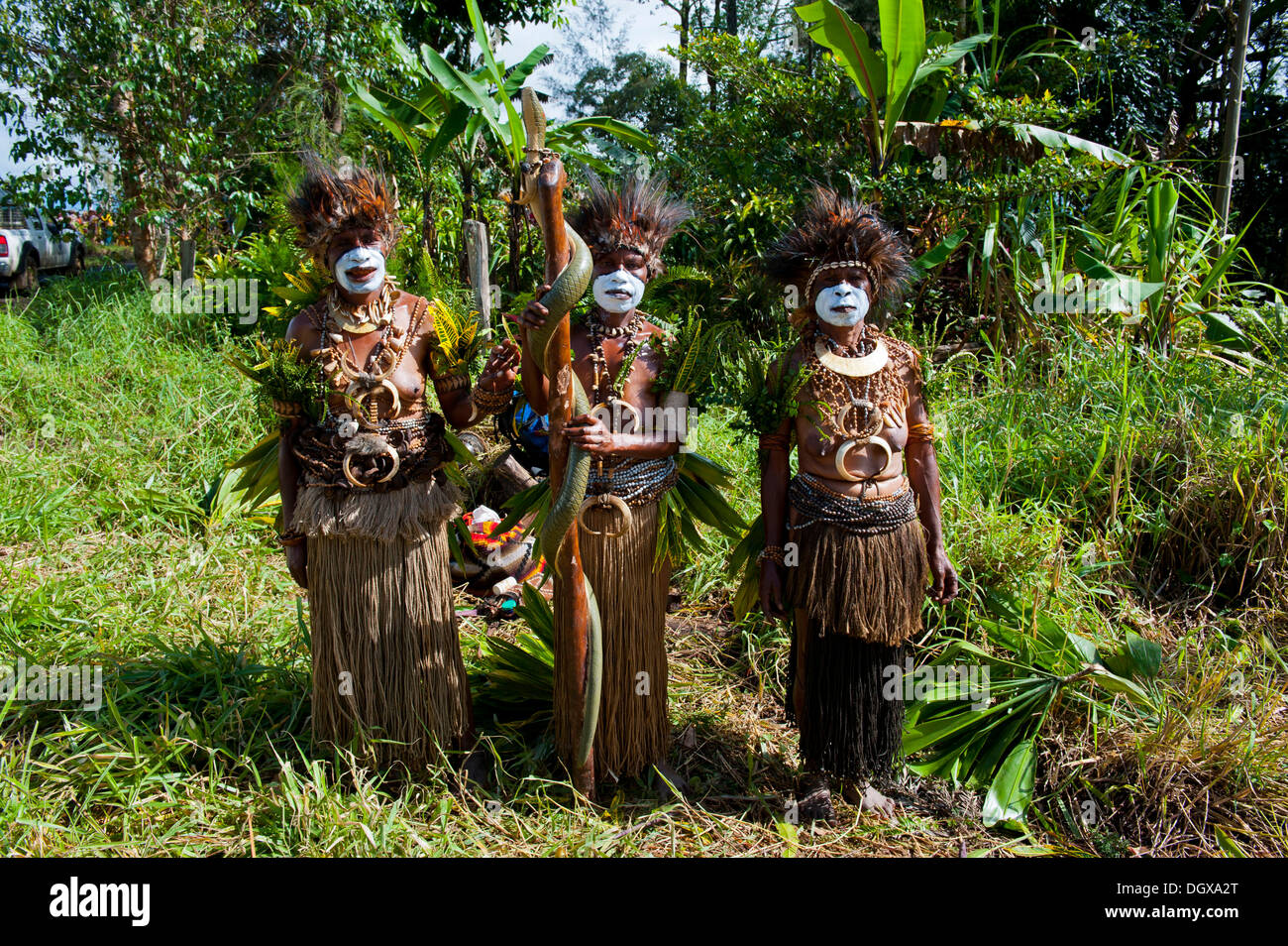 Los miembros de una tribu en una colorida decoración disfraces con pintura  facial en el tradicional encuentro-sing sing, Hochland Fotografía de stock  - Alamy