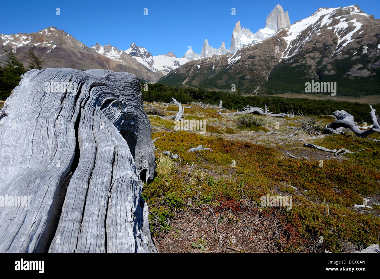 Pico de Mt. Fitzroy, El Chalten, Patagonia, los Andes, Argentina, Sudamérica Foto de stock