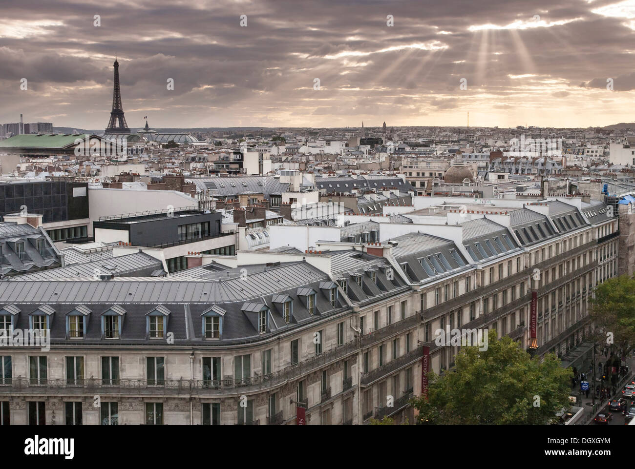 Paisaje urbano de París con la Torre Eiffel, la vista desde la terraza de la azotea de las Galeries Lafayette, Paris, Ile-de-France, Francia Foto de stock
