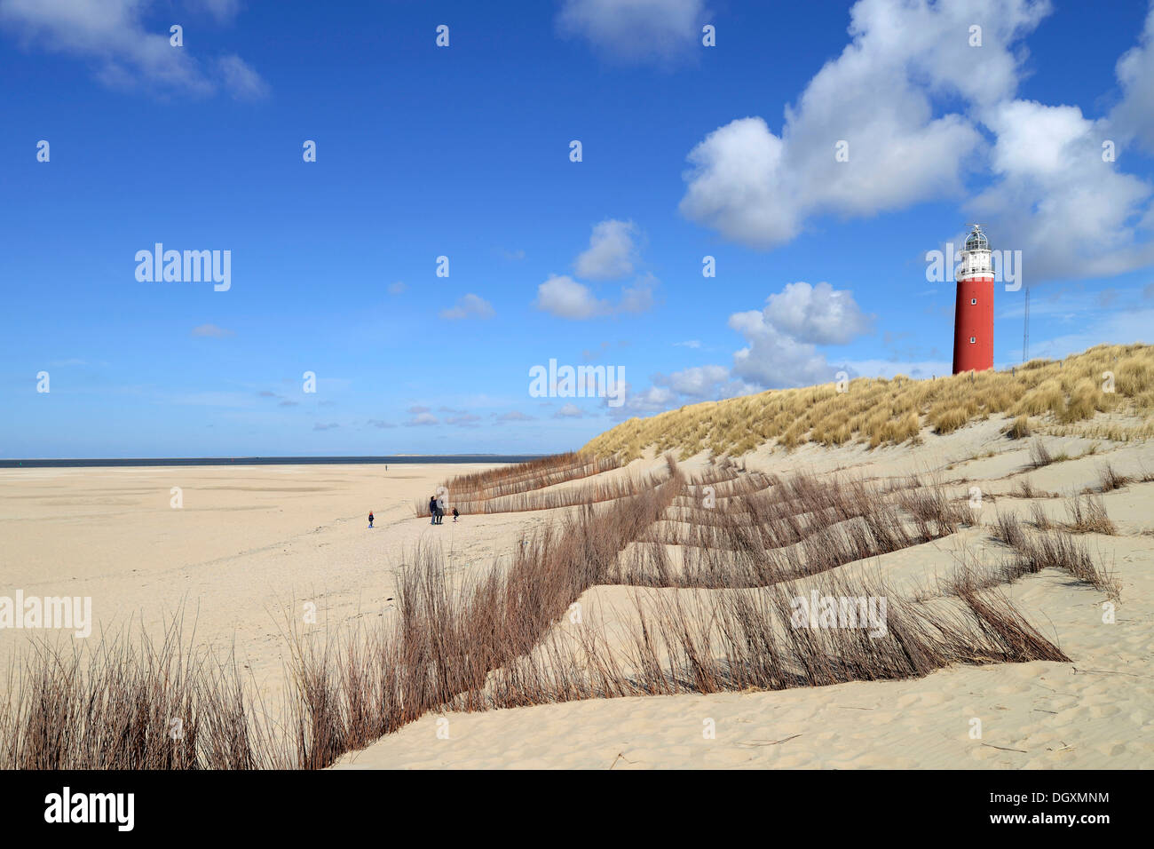 Faro Eierland con dunas, De Cocksdorp Texel, Islas de Frisia occidental, en la provincia de Holanda Septentrional, en los Países Bajos Foto de stock