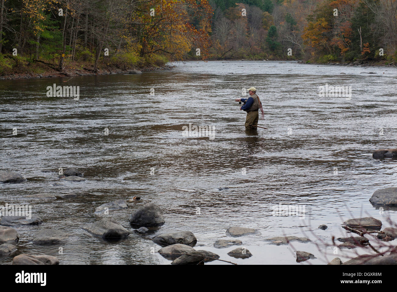 Anciano pescador con mosca arroja en el río Housatonic en Litchfield County, Connecticut. Foto de stock