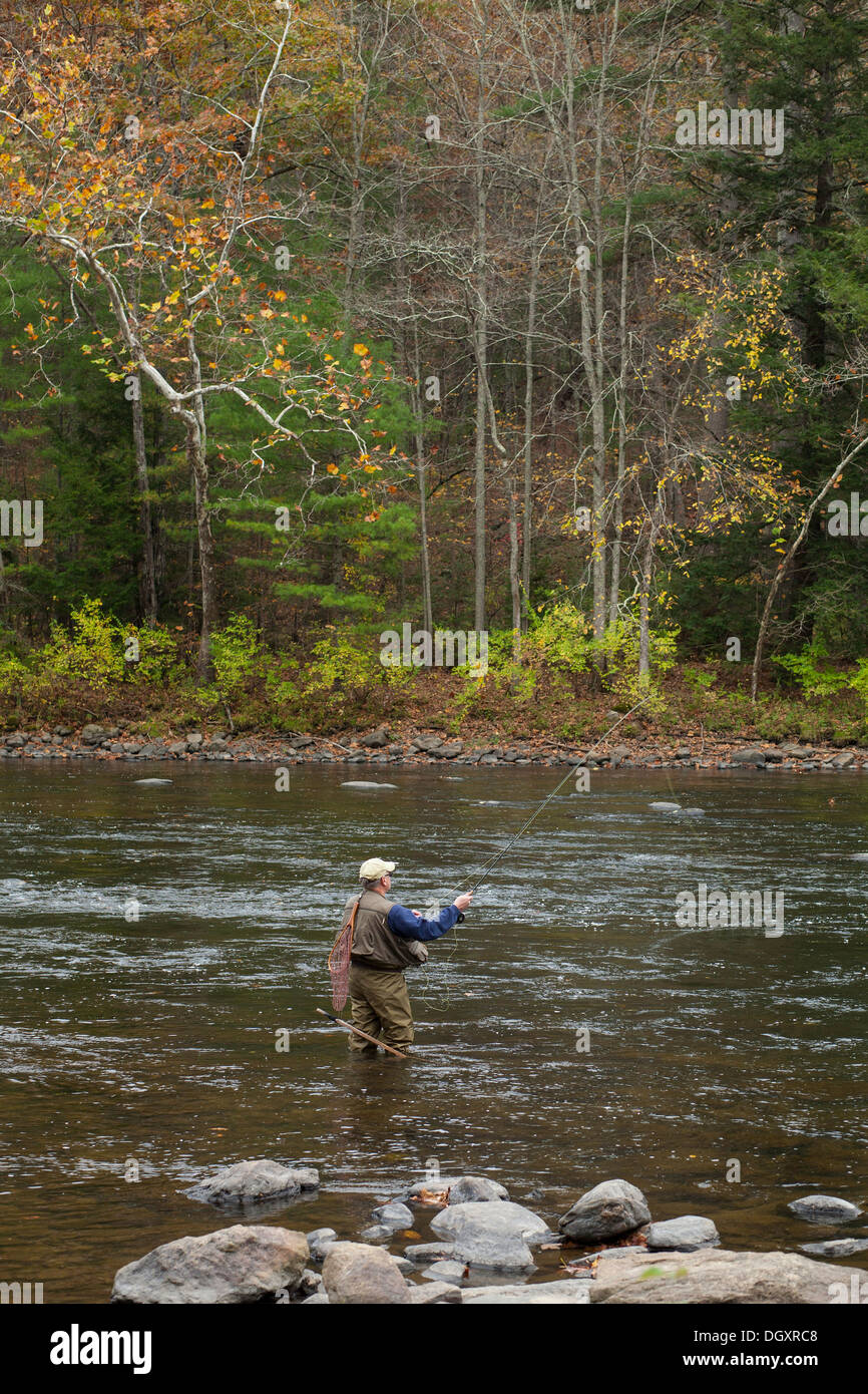Anciano pescador con mosca arroja en el río Housatonic en Litchfield County, Connecticut. Foto de stock