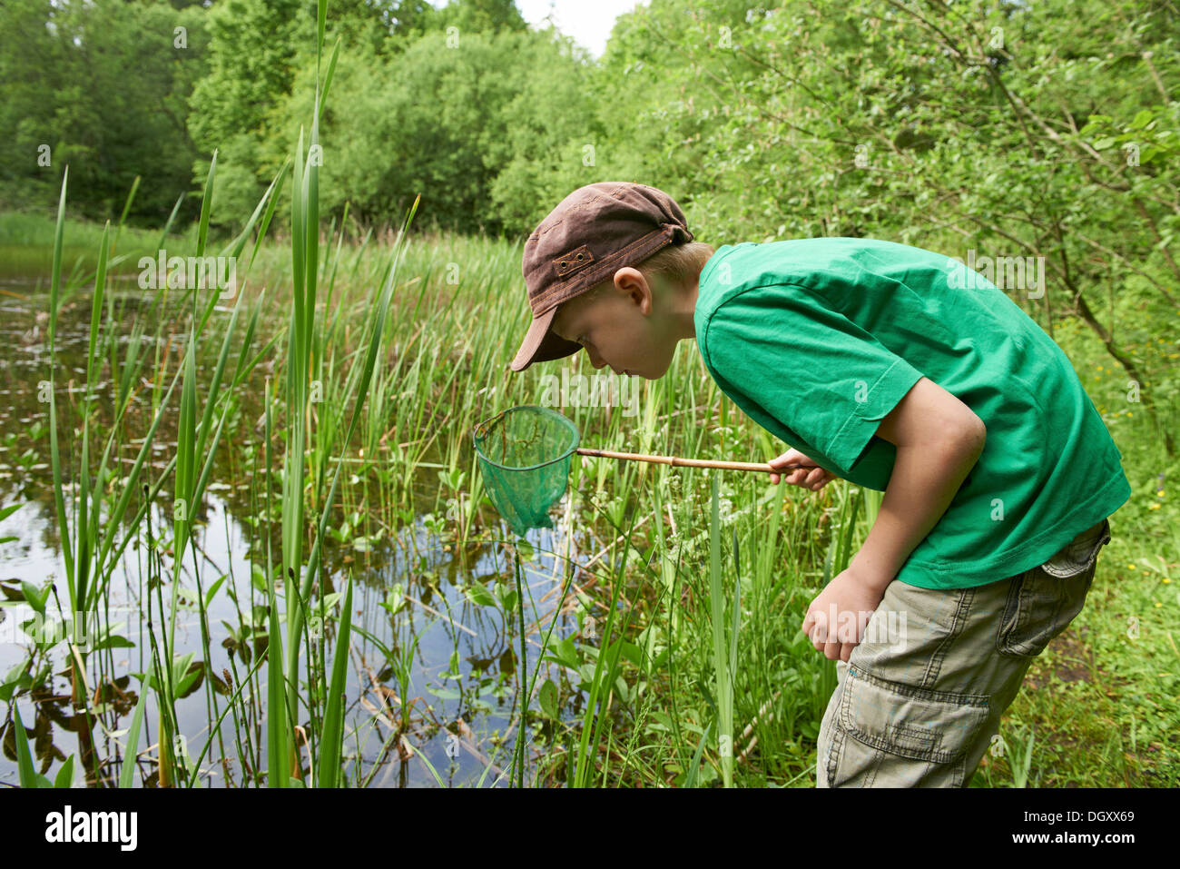 El muchacho, de 7 años, de pie con un chapuzón net por un estanque, estanque, Kreuzlinger Pentenrieder Weiher Forst bosque, Munich, Alta Baviera Foto de stock