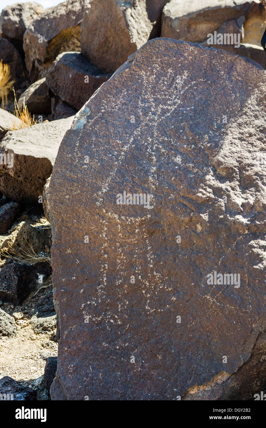 Los petroglifos en la Boca Negra del cañón de la sección Petrogrlyph, Monumento Nacional, Albuquerque, Nuevo México, EE.UU. Foto de stock