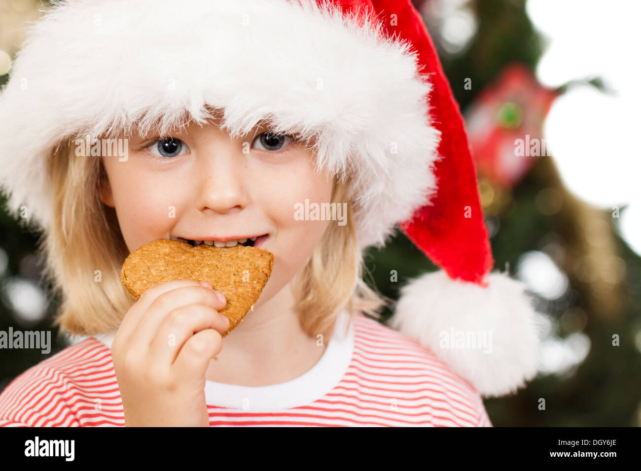 Close-up de un chico lindo vestido como Santa's helper es comer una galleta de jengibre en frente de un árbol de Navidad Foto de stock