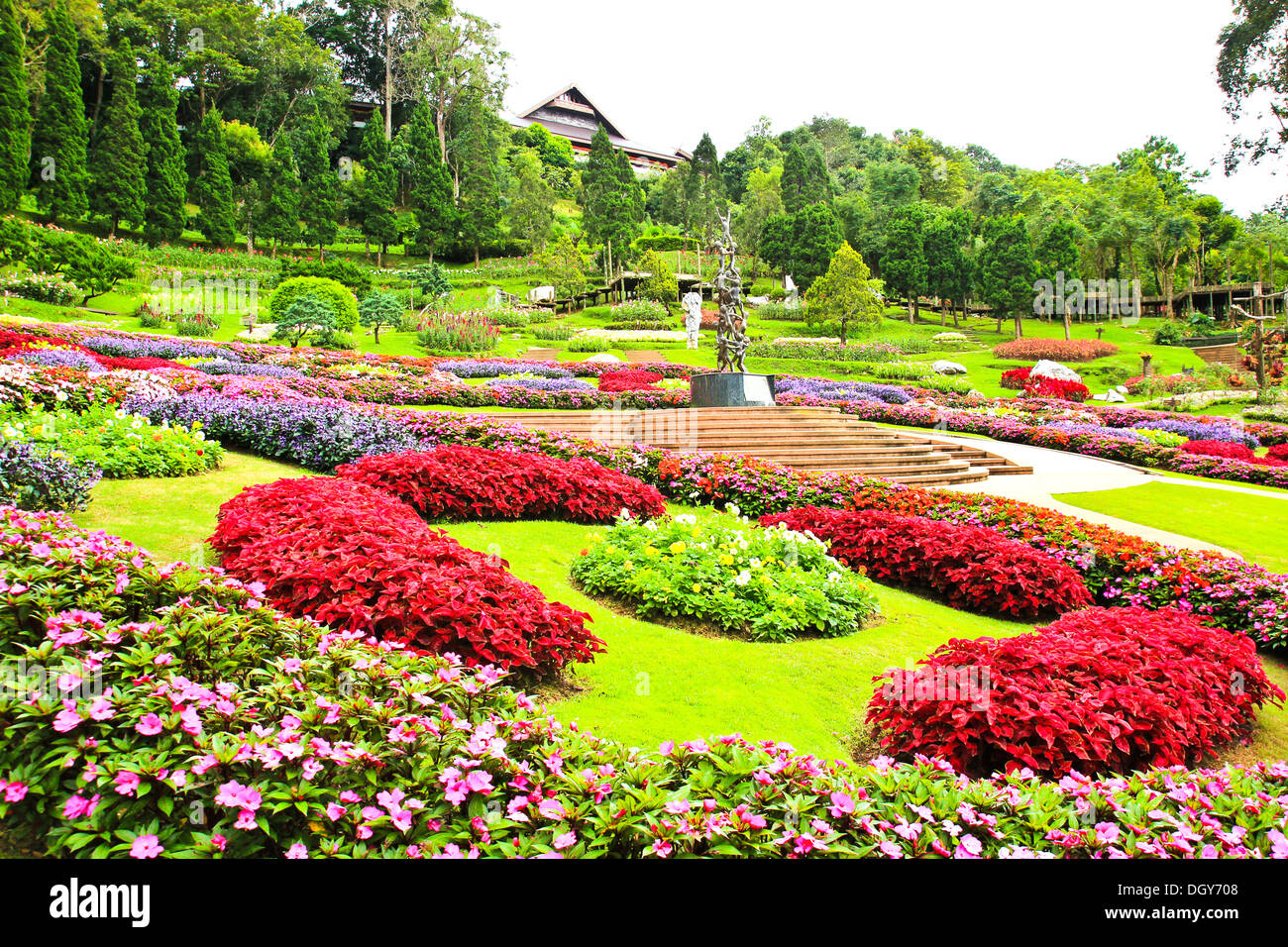 Mae Fah Luang Jardín,busque en Doi Tung,Tailandia Foto de stock