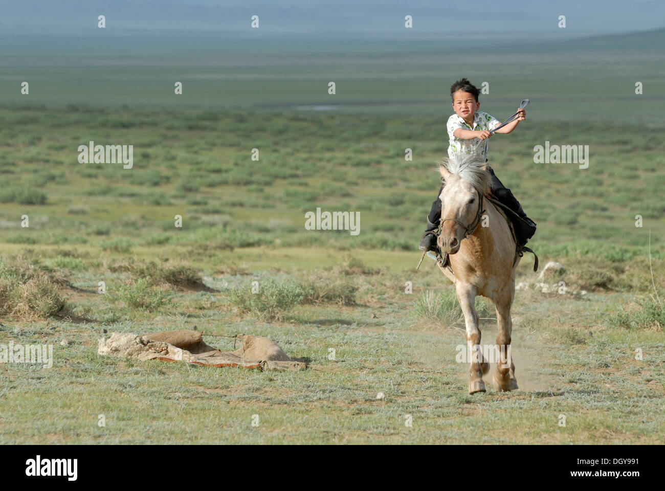 Pequeño de 6-año-viejo muchacho mongol rompiendo en un brioso caballo mongol en las praderas secas, Lun Toev Aimak, Mongolia, Asia Foto de stock