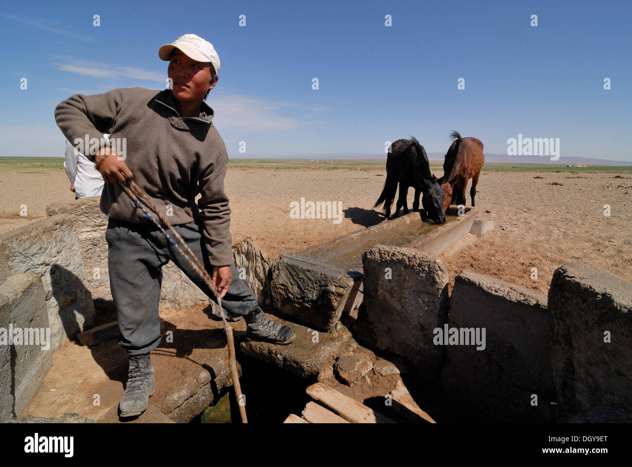 Dibujo chico mongol agua a los caballos de un orificio de agua en el desierto de Gobi, Oemnoegov Aimak, Mongolia, Asia Foto de stock