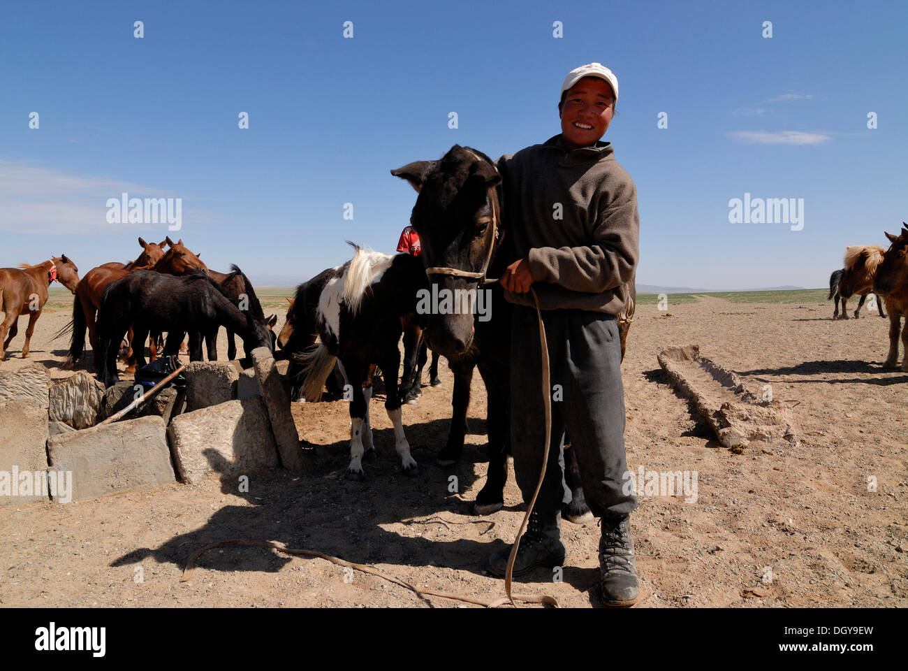 Niño mongol teniendo un caballo a un orificio de agua para el riego, el desierto de Gobi, Oemnoegov Aimak, Mongolia, Asia Foto de stock