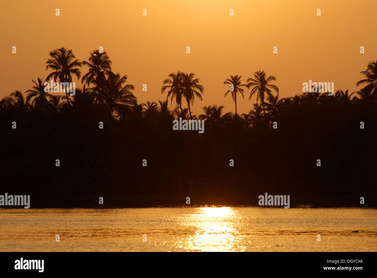 Puesta de sol, palmeras, aguas estancadas, Nileshwaram, la costa de Malabar, en el norte de Kerala, Kerala, India del Sur, India, Asia Foto de stock