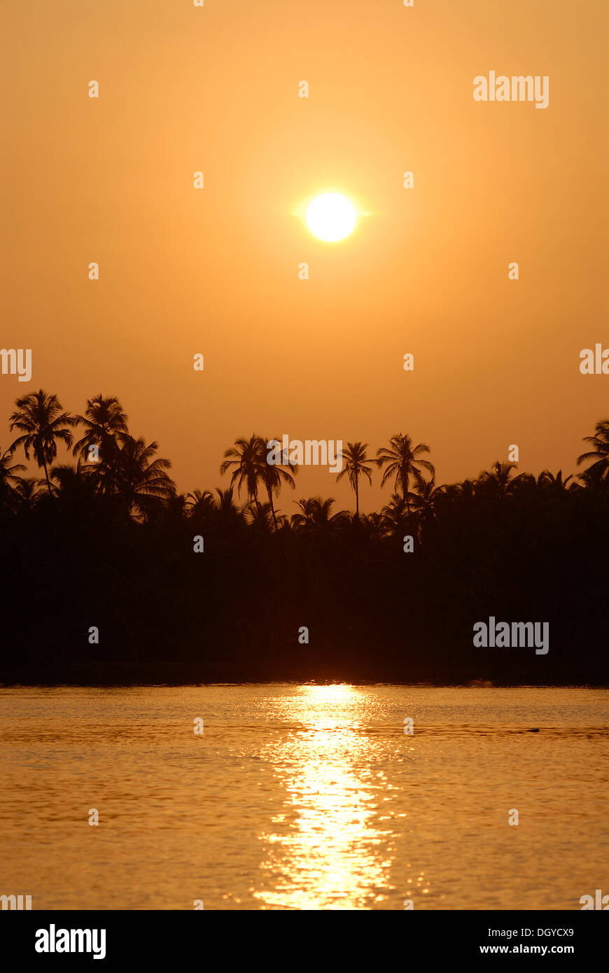 Puesta de sol, palmeras, aguas estancadas, Nileshwaram, la costa de Malabar, en el norte de Kerala, Kerala, India del Sur, India, Asia Foto de stock