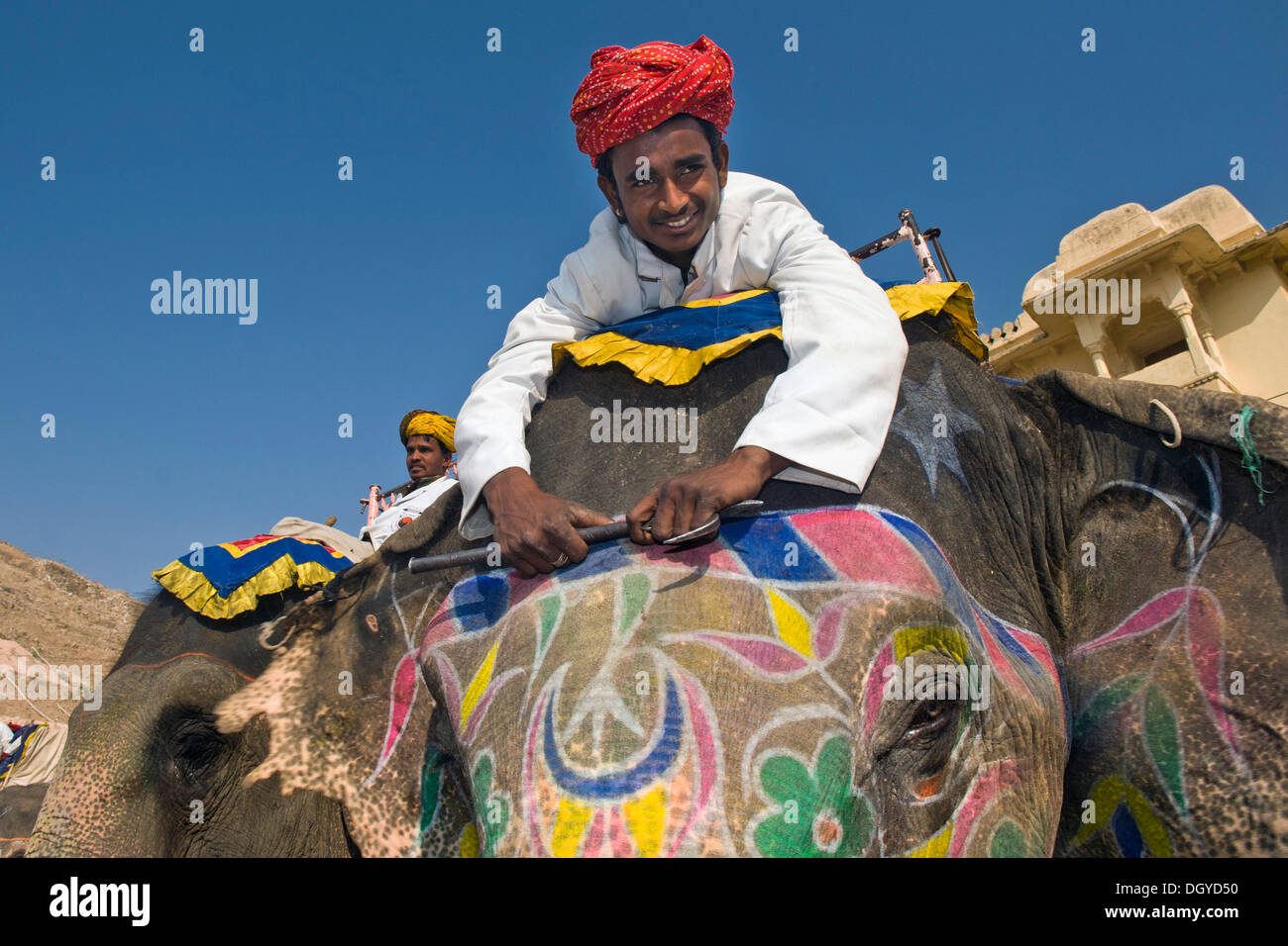 Mahout o conductor de elefantes en un elefante pintado, Amer Fort o Fuerte Amber, Jaipur, Rajasthan, India, Asia Foto de stock