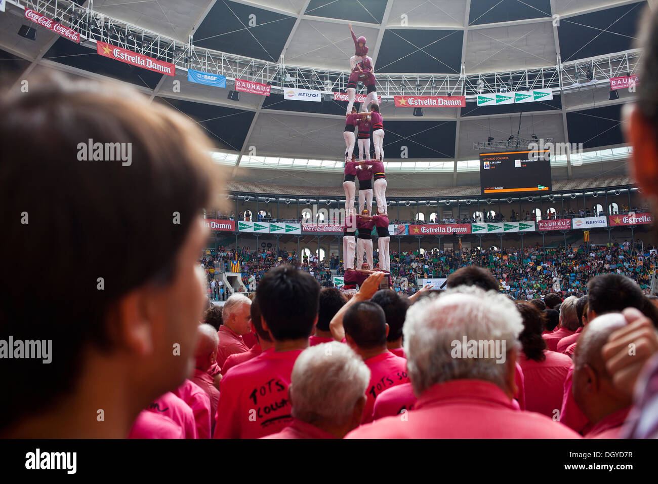 Los Castellers de Lleida.'Castellers' edificio torre humana, una tradición catalana.concurso bianual. plaza de toros.Tarragona, España Foto de stock